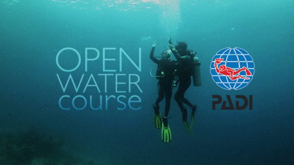 PADI Open Water Course