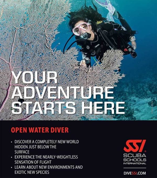SSI Open Water Course - Image 2