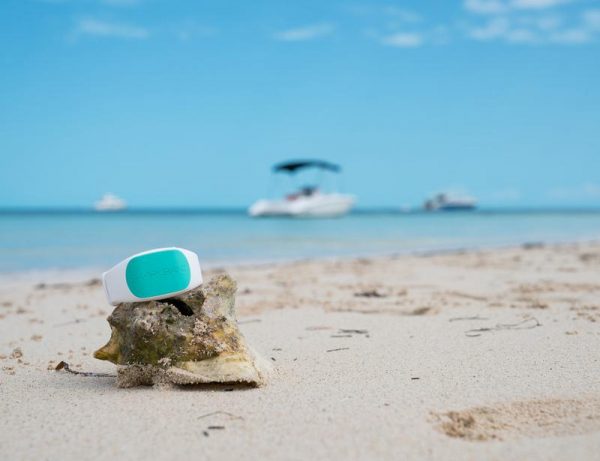 Sharkbanz 2 Shark Deterrent Band - Image 9
