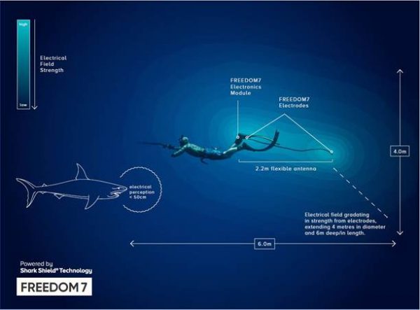 Shark Shield Freedom 7 - Image 3